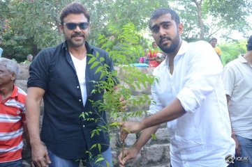  Venkatesh At Haritha Haaram Event